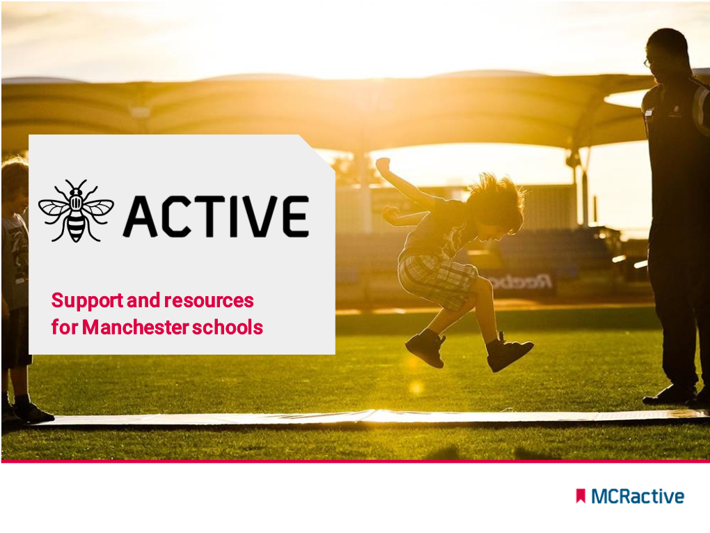 Mcractive Schools Resources