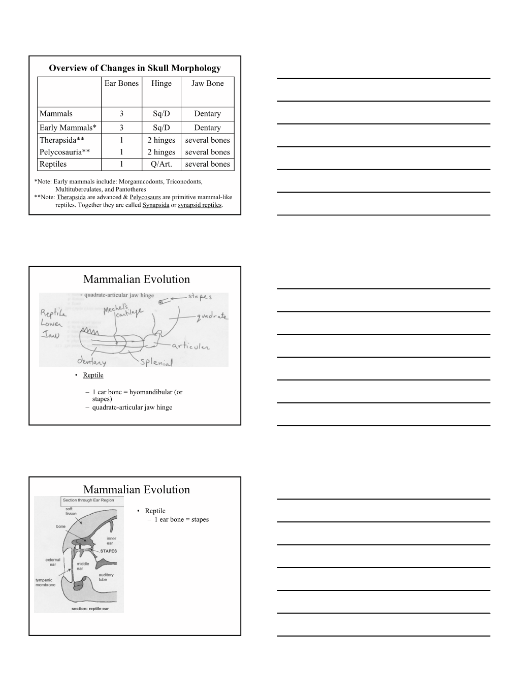 Biogeography