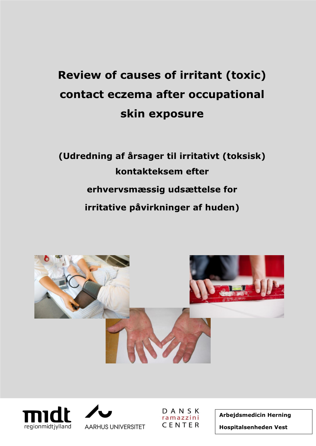 Review of Causes of Irritant (Toxic) Contact Eczema After Occupational Skin Exposure