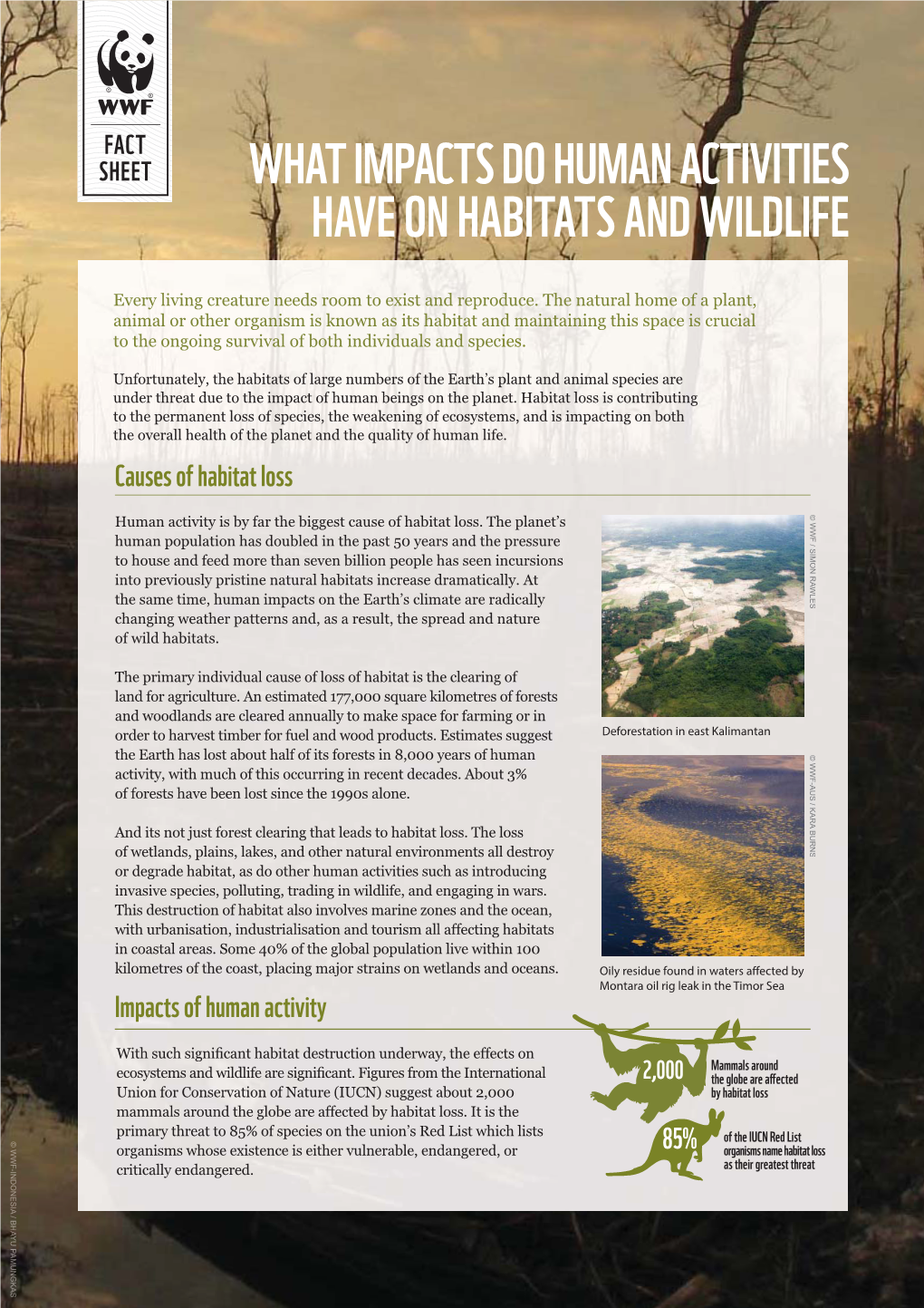 What Impacts Do Human Activities Have on Habitats and Wildlife