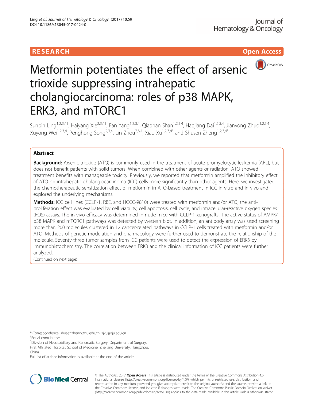 Metformin Potentiates the Effect Of