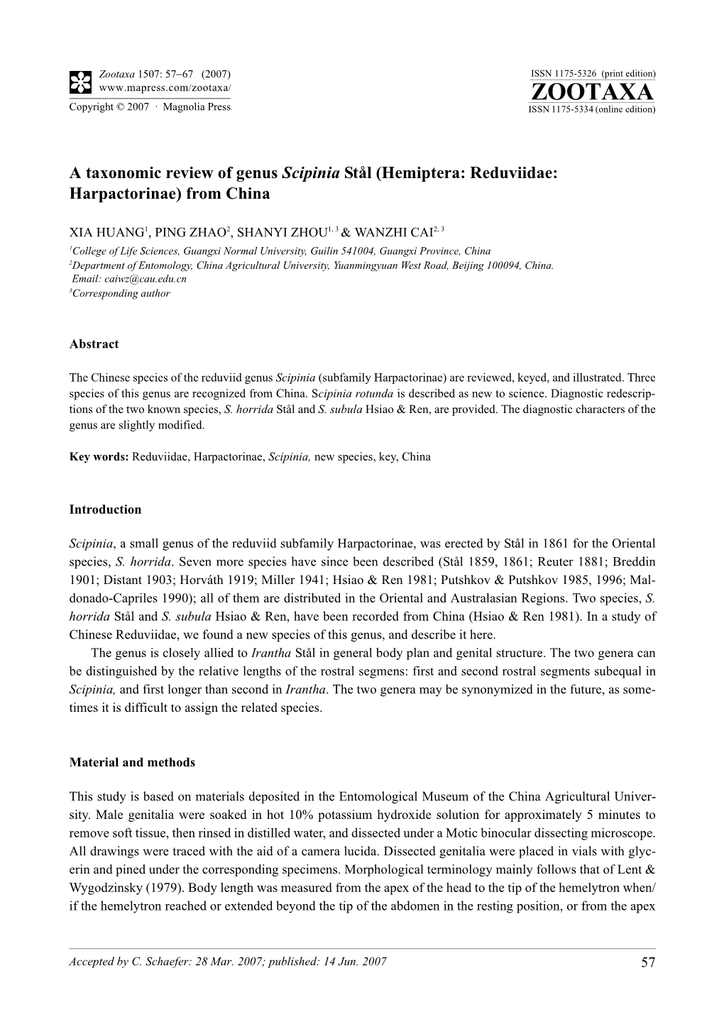 Zootaxa,A Taxonomic Review of Genus Scipinia Stal (Hemiptera