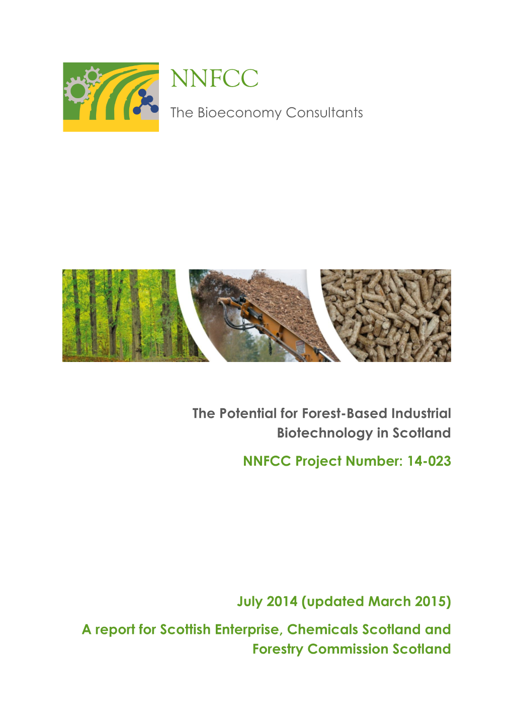 The Bioeconomy Consultants the Potential for Forest-Based Industrial