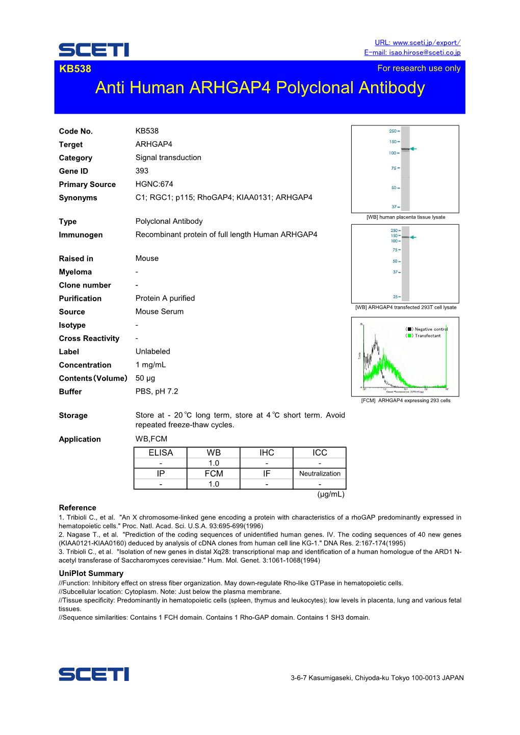 Anti Human ARHGAP4 Polyclonal Antibody 0