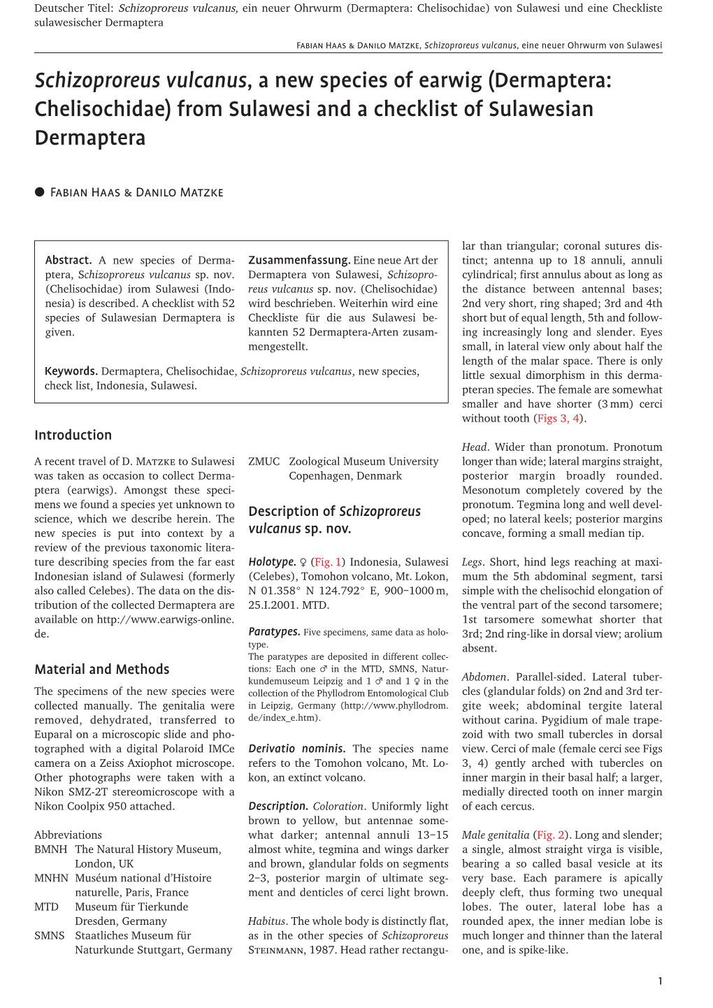 Schizoproreus Vulcanus, a New Species of Earwig (Dermaptera: Chelisochidae) from Sulawesi and a Checklist of Sulawesian Dermaptera