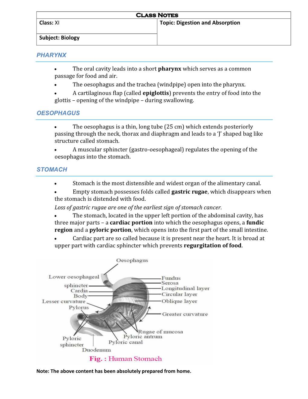 Digestion and Absorption Subject: Biology PHARYNX the Oral Cavity