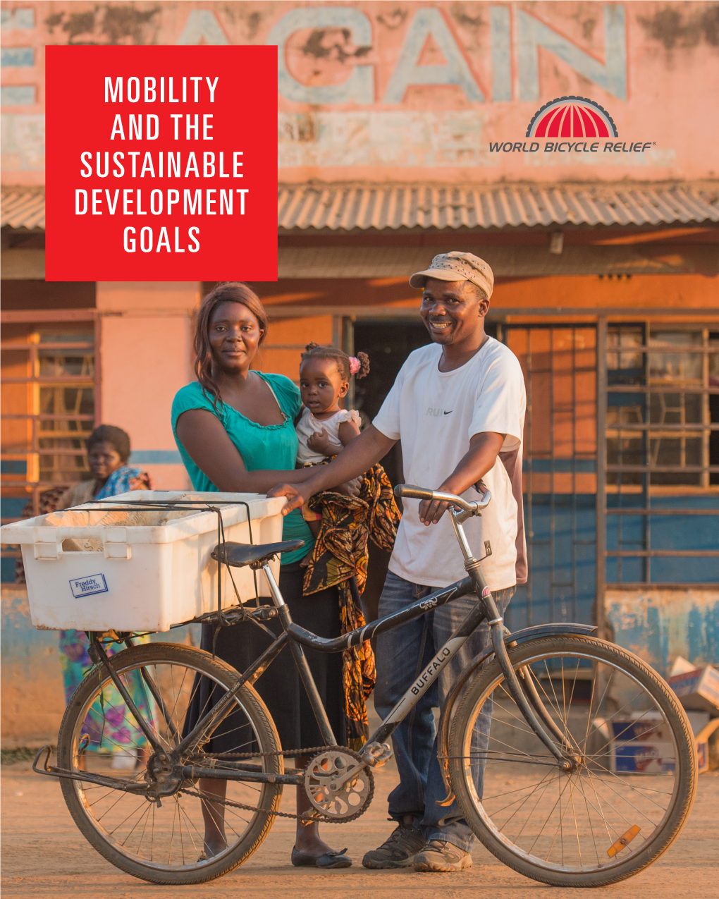 Mobility and the Sustainable Development Goals Sustainable Development Goals Mobility and the Sustainable Development Goals