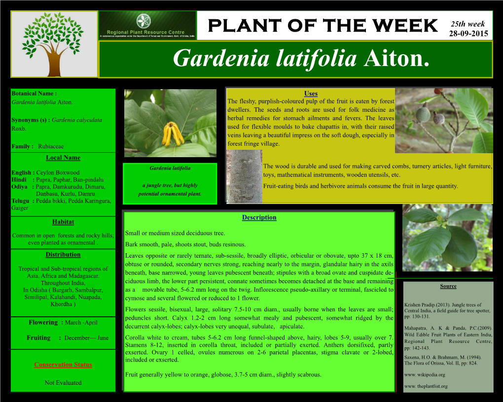 PLANT of the WEEK 25Th Week 28-09-2015 Gardenia Latifolia Aiton