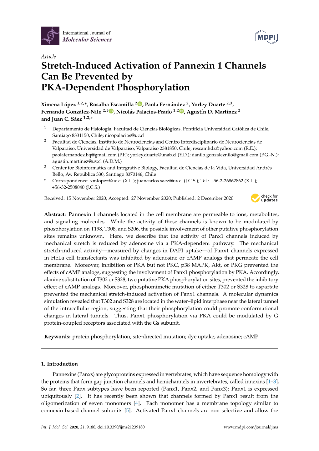 Stretch-Induced Activation of Pannexin 1 Channels Can Be Prevented by PKA-Dependent Phosphorylation