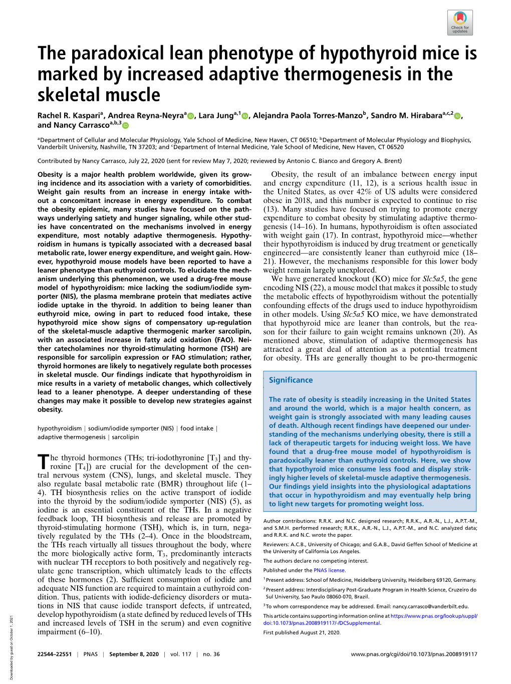 The Paradoxical Lean Phenotype of Hypothyroid Mice Is Marked by Increased Adaptive Thermogenesis in the Skeletal Muscle Rachel R