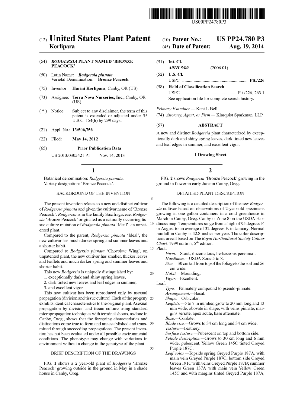 (12) United States Plant Patent (10) Patent N0.: US PP24,780 P3 Korlipara (45) Date of Patent: Aug