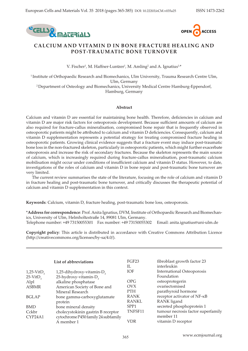 Calcium and Vitamin D in Bone Fracture Healing and Post-Traumatic Bone Turnover