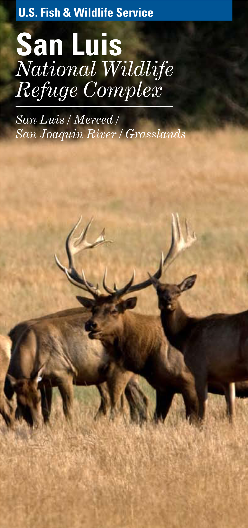 San Luis National Wildlife Refuge Complex