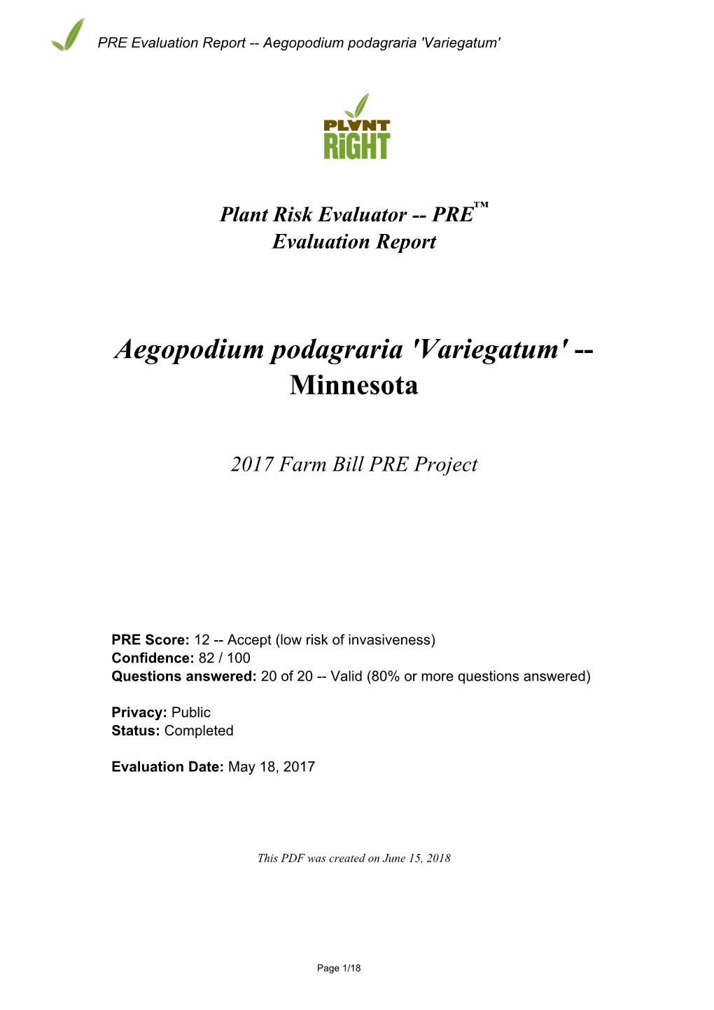 PRE Evaluation Report for Aegopodium Podagraria 'Variegatum'