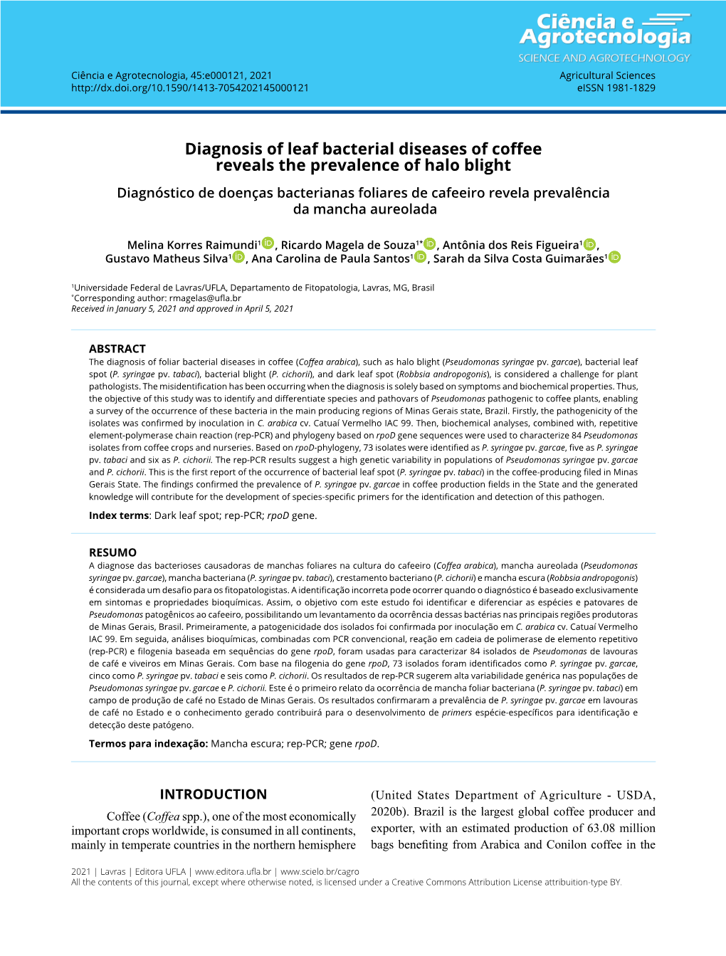 Diagnosis of Leaf Bacterial Diseases of Coffee Reveals the Prevalence of Halo Blight