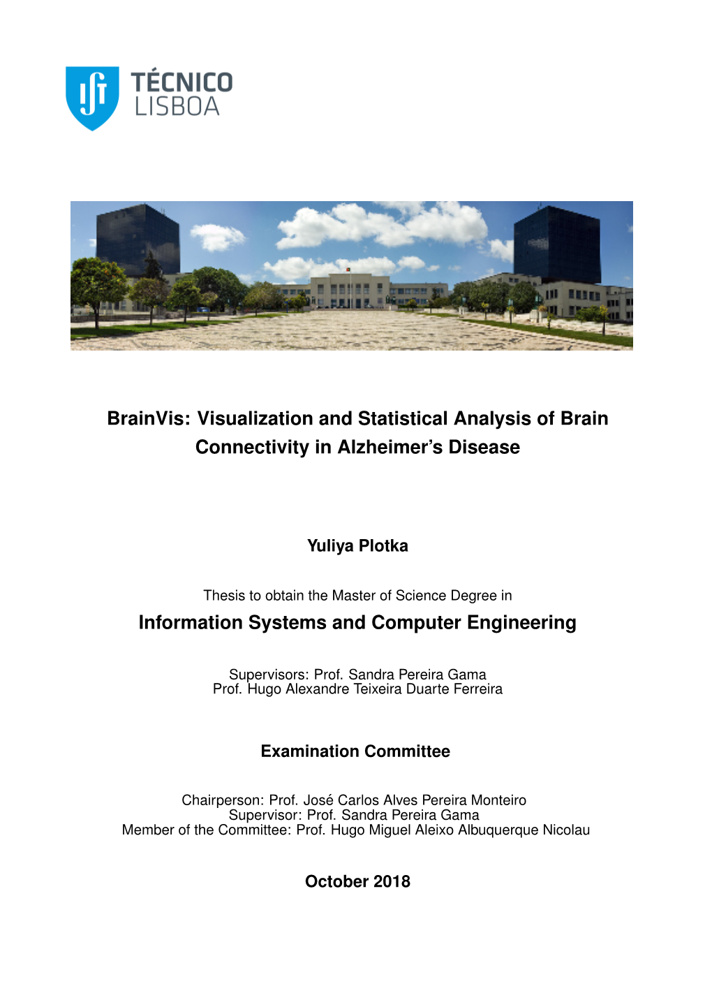 Visualization and Statistical Analysis of Brain Connectivity in Alzheimer's