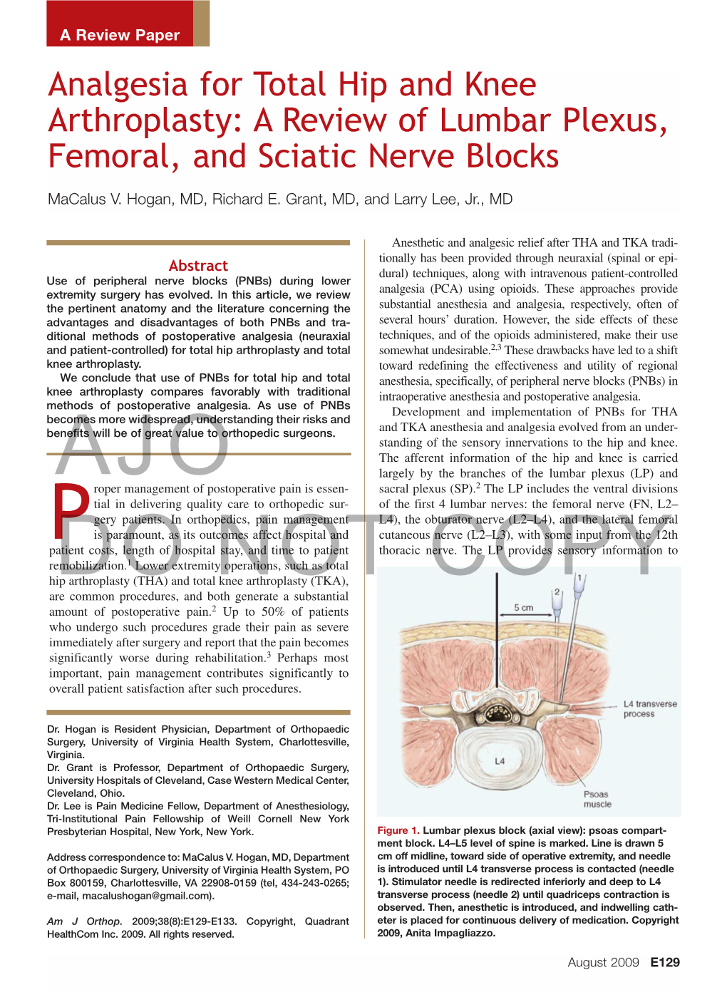 Analgesia for Total Hip and Knee Arthroplasty: a Review of Lumbar Plexus, Femoral, and Sciatic Nerve Blocks