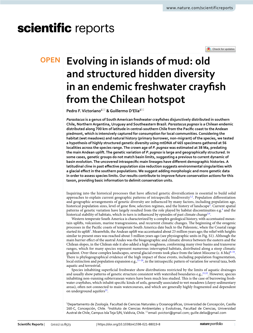 Old and Structured Hidden Diversity in an Endemic Freshwater Crayfish from the Chilean Hotspot