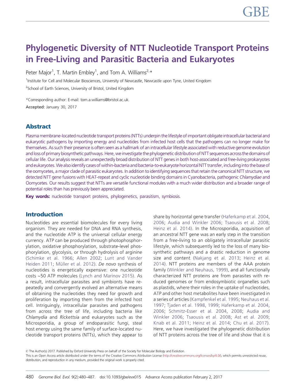 Phylogenetic Diversity of NTT Nucleotide Transport Proteins in Free-Living and Parasitic Bacteria and Eukaryotes