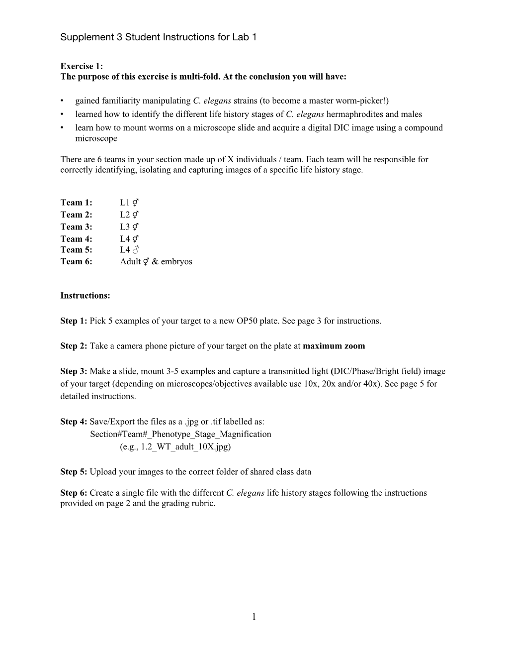 Supplement 3 Student Instructions for Lab 1