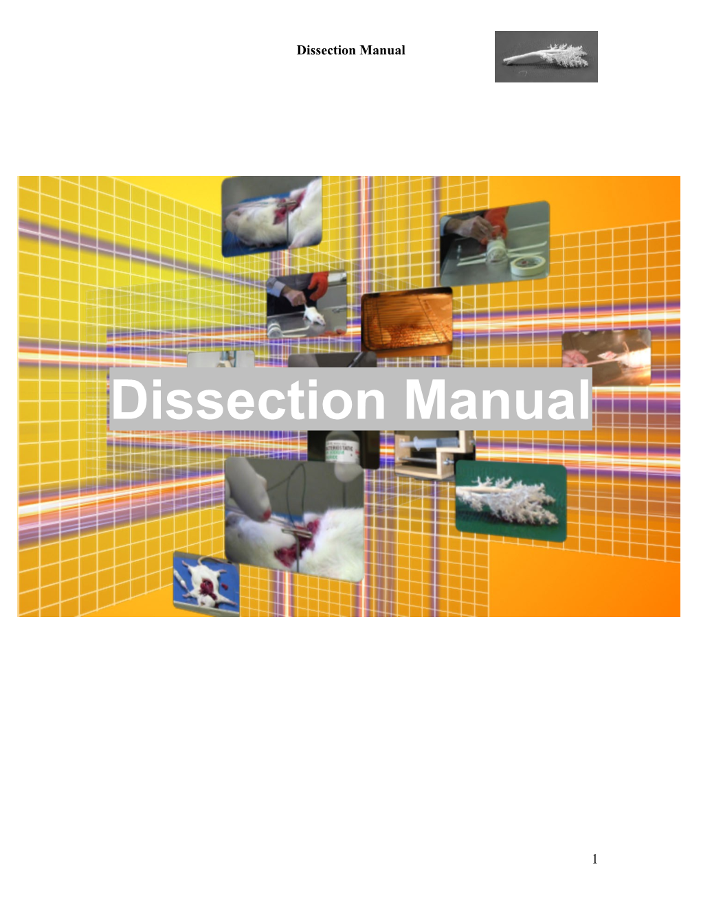 Dissection Manual