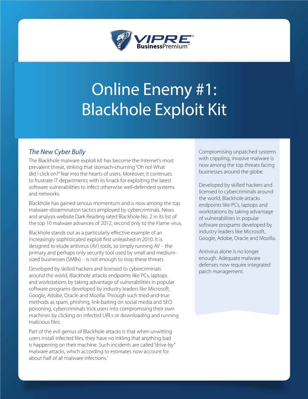 Blackhole Exploit Kit