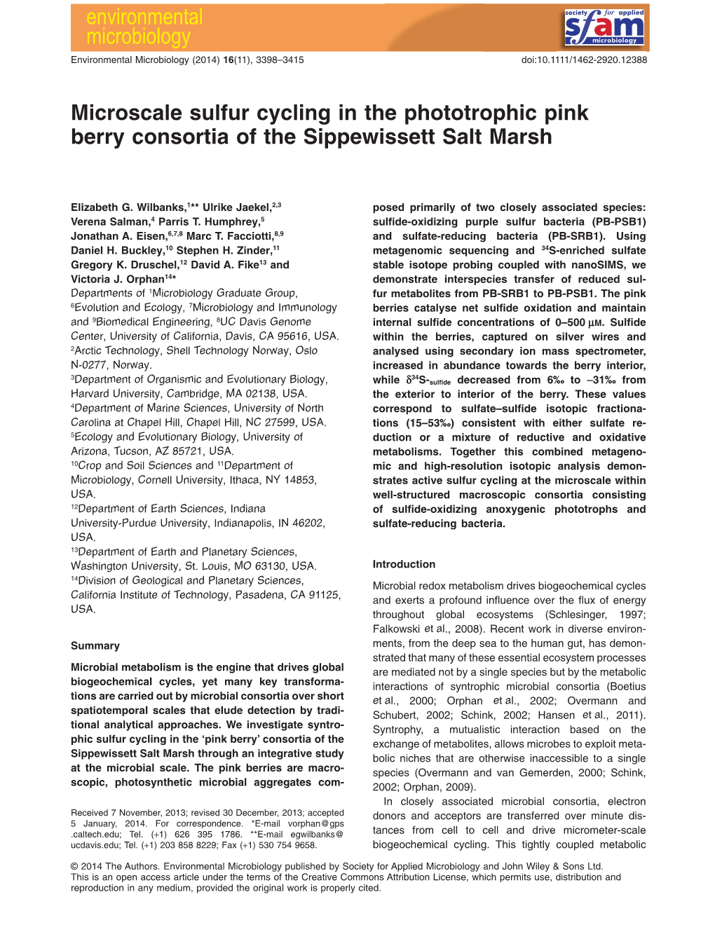 Microscale Sulfur Cycling in the Phototrophic Pink Berry Consortia of the Sippewissett Salt Marsh