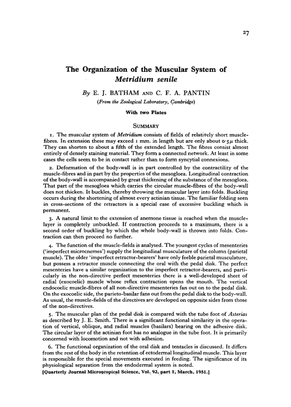 The Organization of the Muscular System of Metridium Senile by E