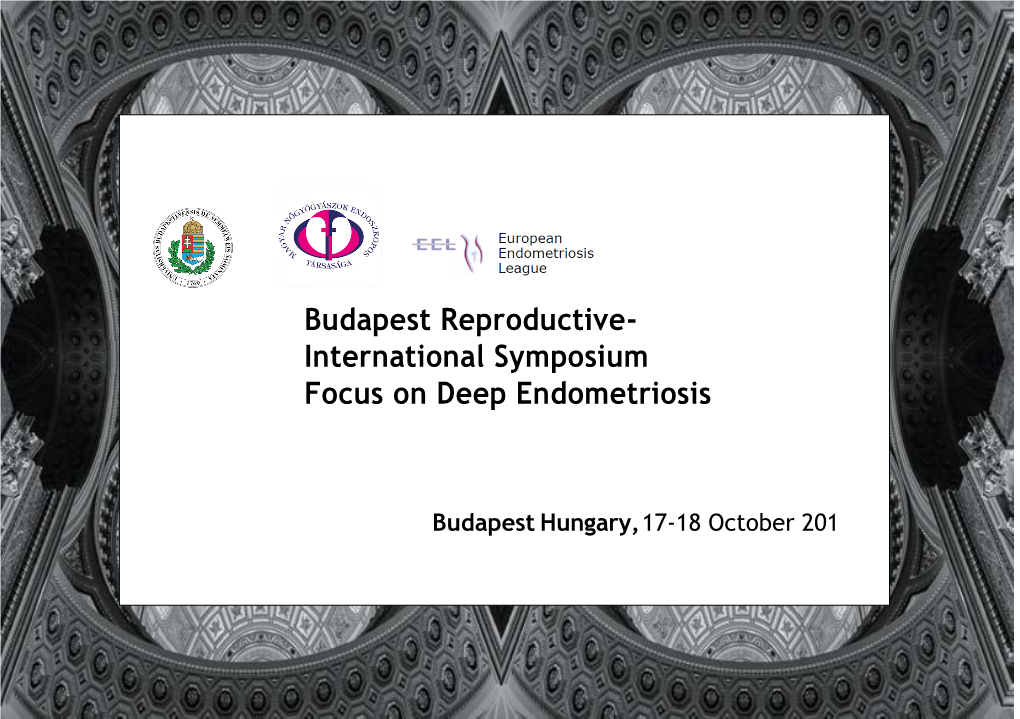 International Symposium Focus on Deep Endometriosis