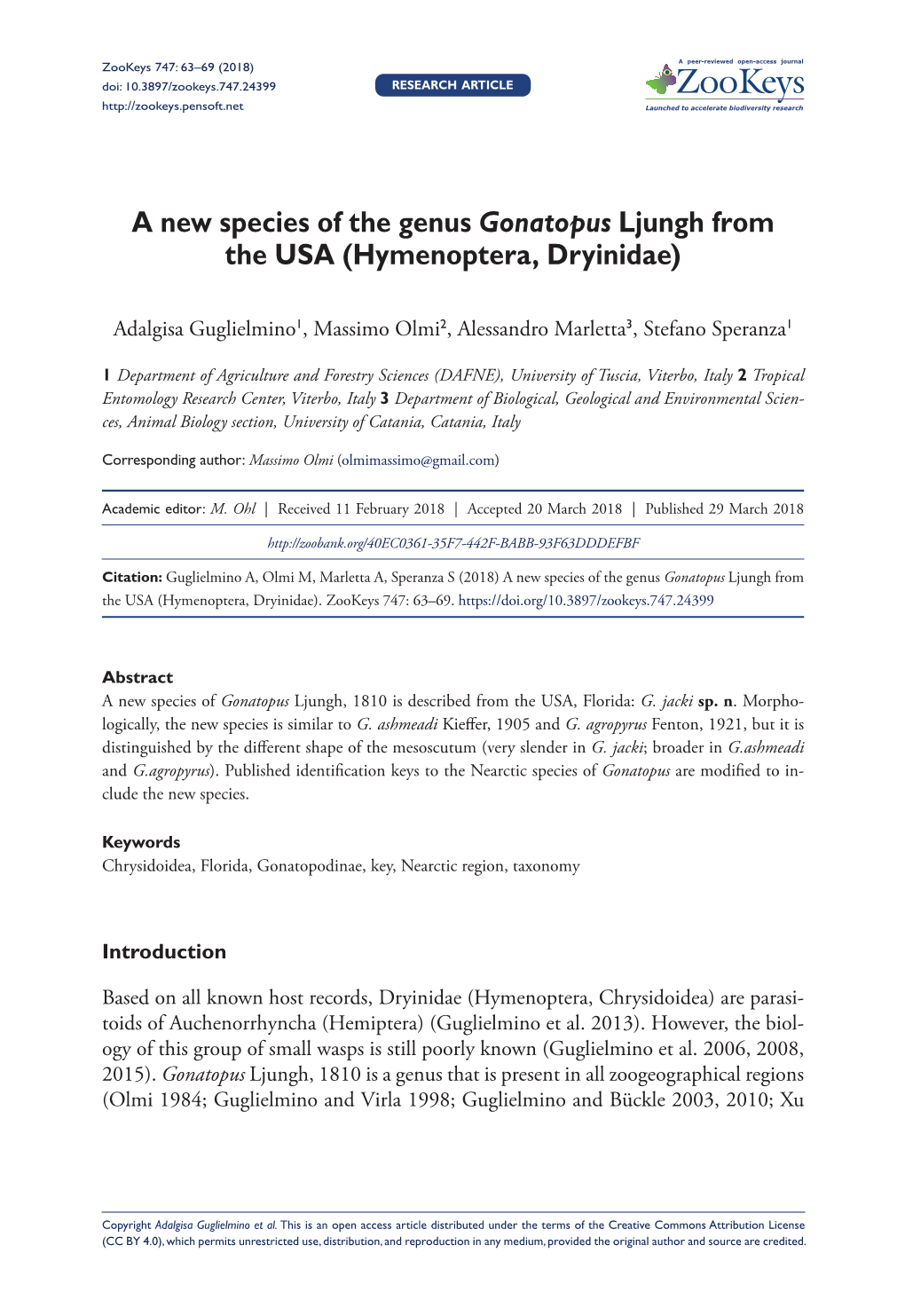 A New Species of the Genus Gonatopus Ljungh from the USA (Hymenoptera, Dryinidae)