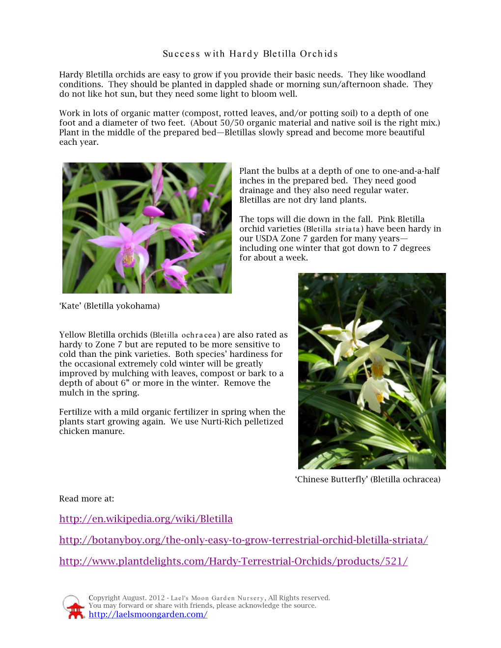 Success with Hardy Bletilla Orchids