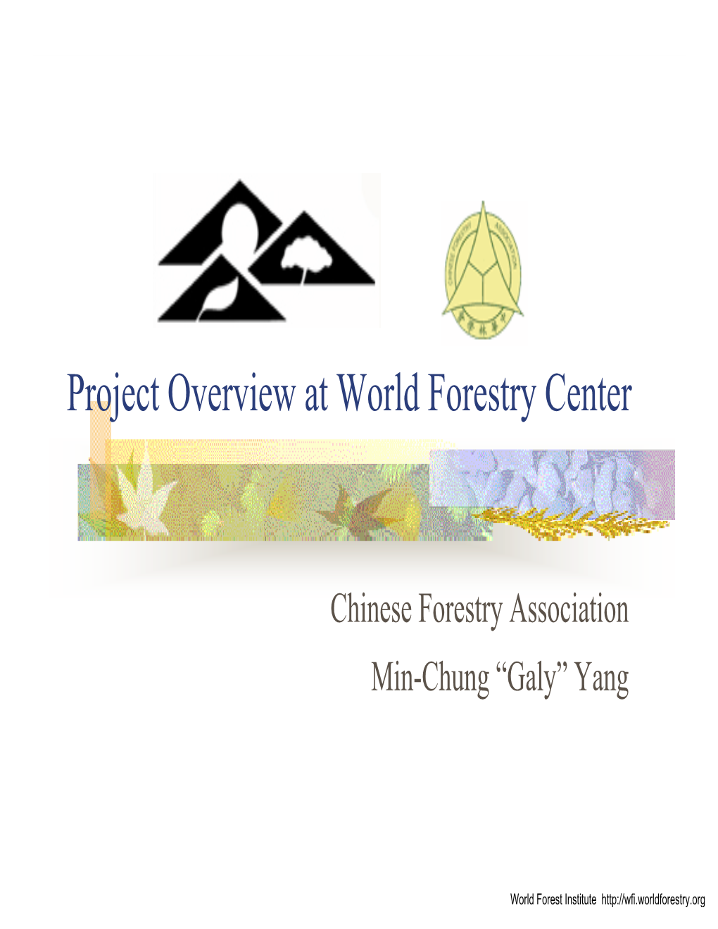 Project Overview at World Forestry Center