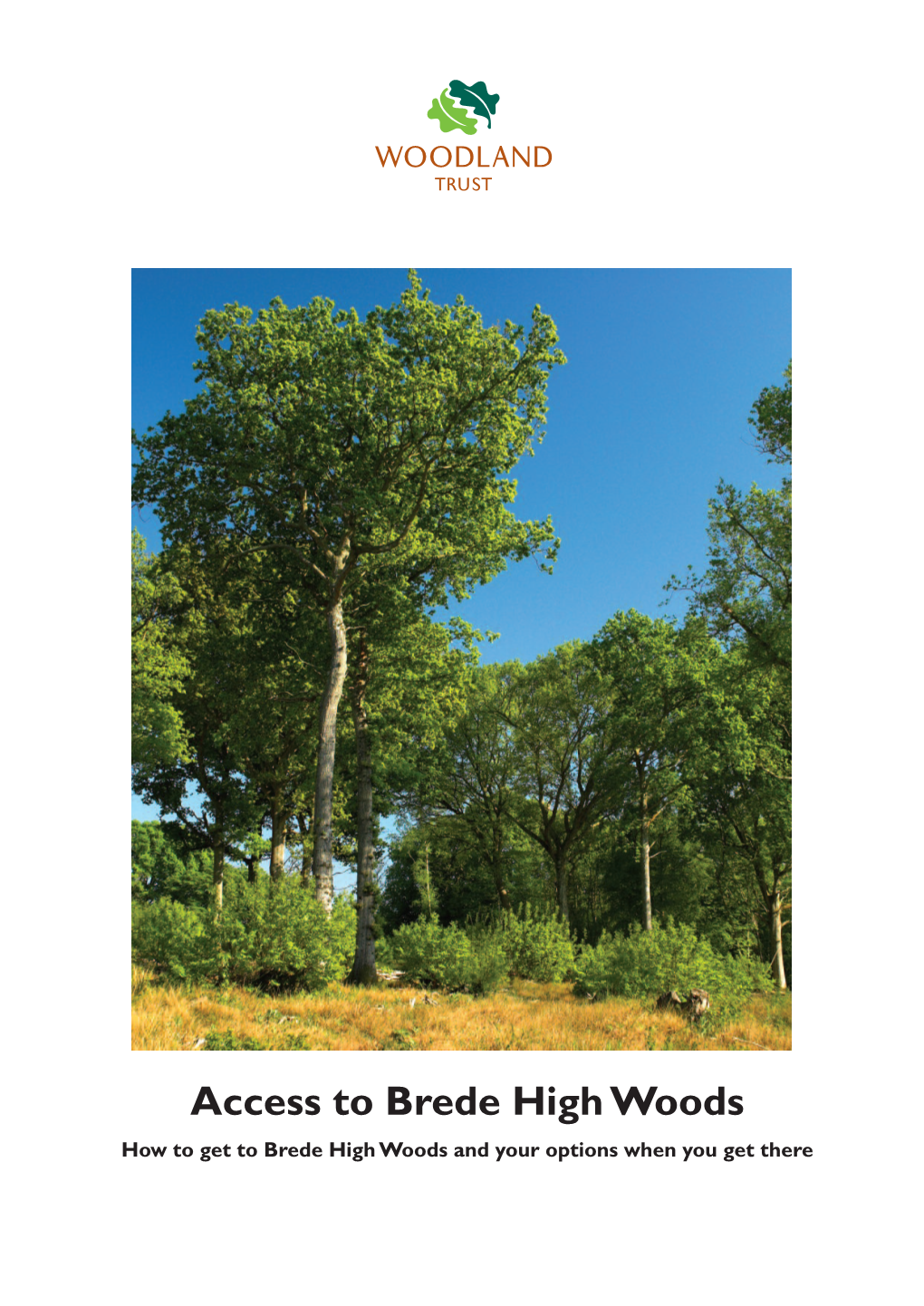 Access to Brede High Woods How to Get to Brede High Woods and Your Options When You Get There