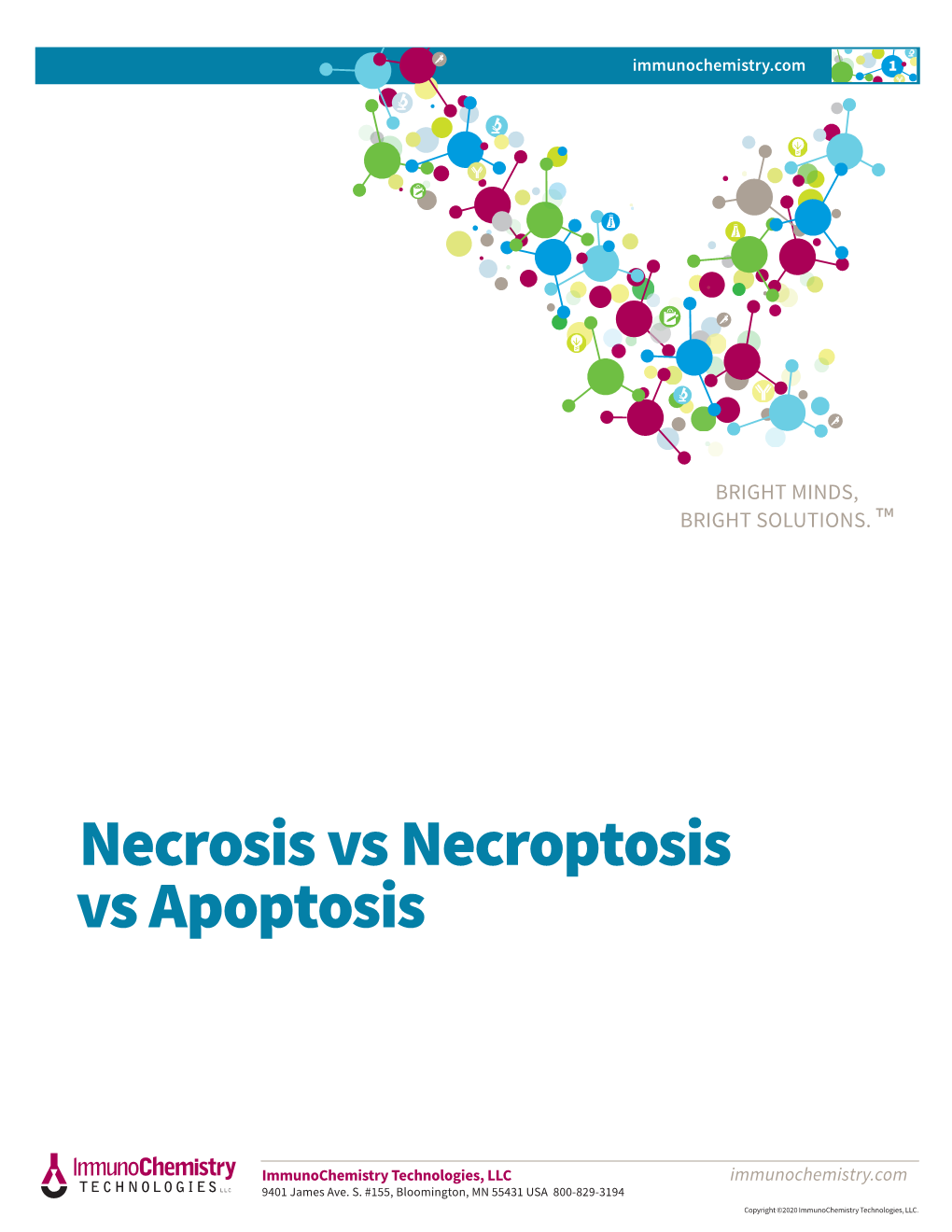 Necrosis Vs Necroptosis Vs Apoptosis