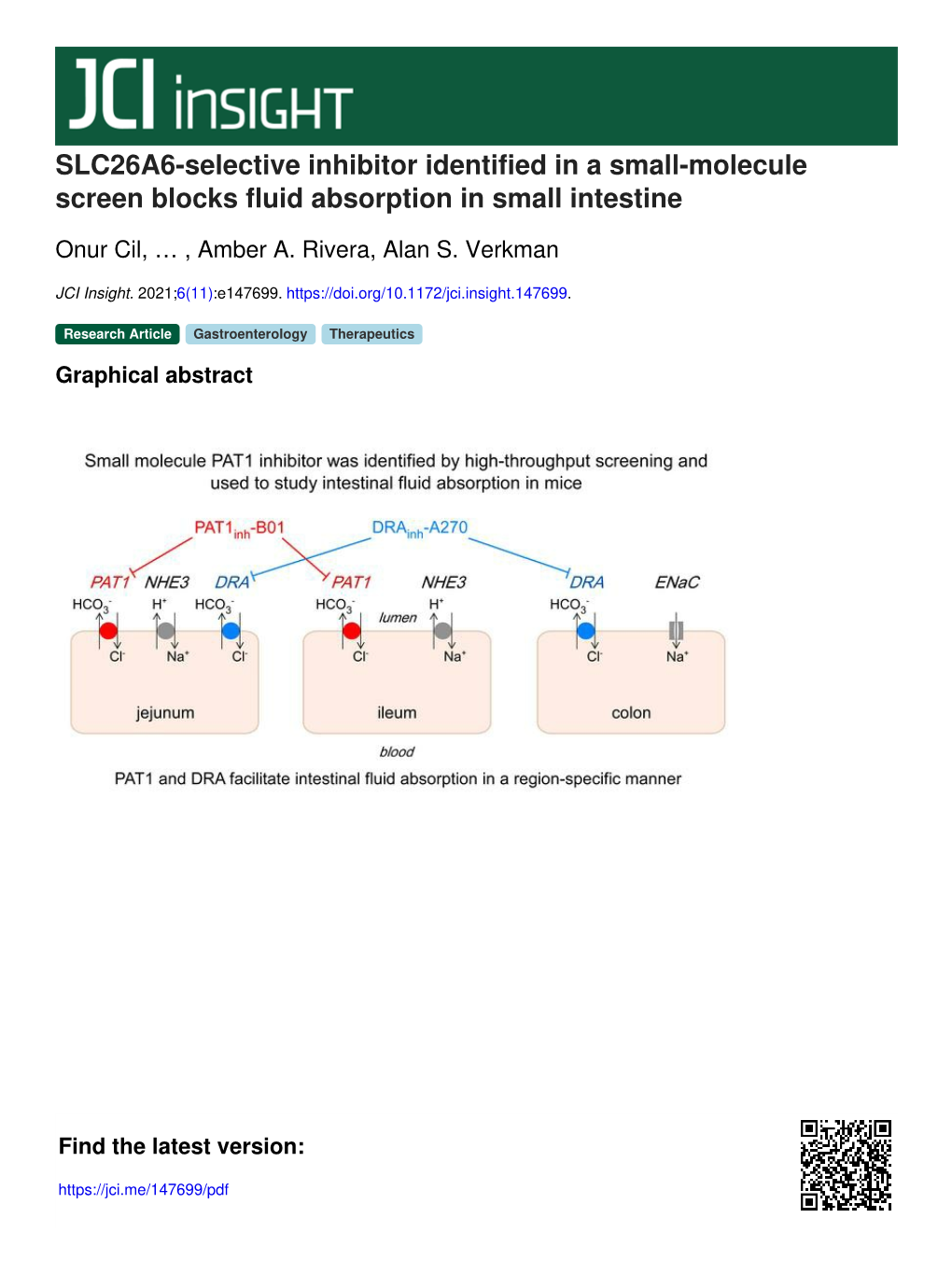 SLC26A6-Selective Inhibitor Identified in a Small-Molecule Screen Blocks Fluid Absorption in Small Intestine