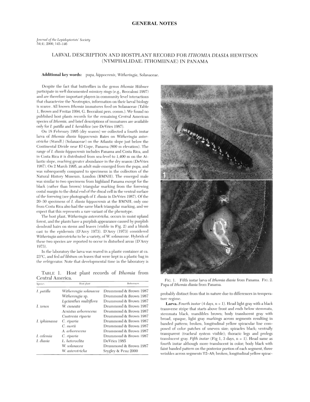 Nymphalidae: Ithomiinae) in Panama