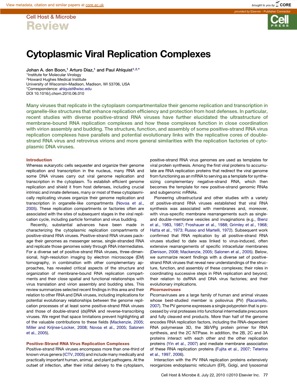 Cytoplasmic Viral Replication Complexes