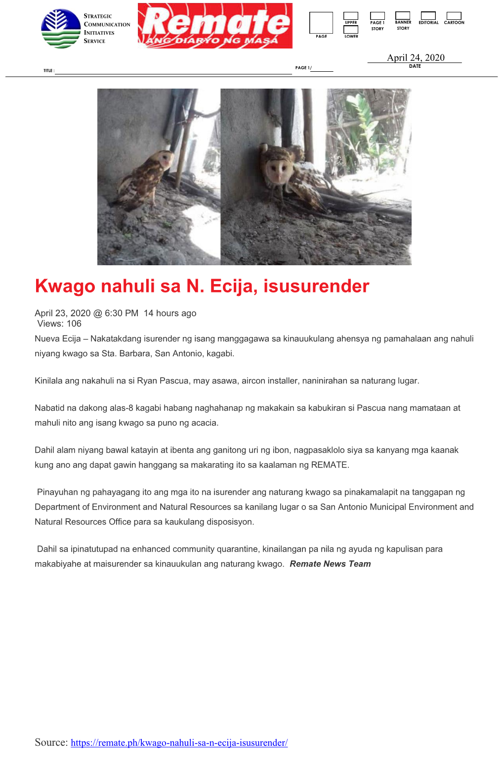 Kwago Nahuli Sa N. Ecija, Isusurender