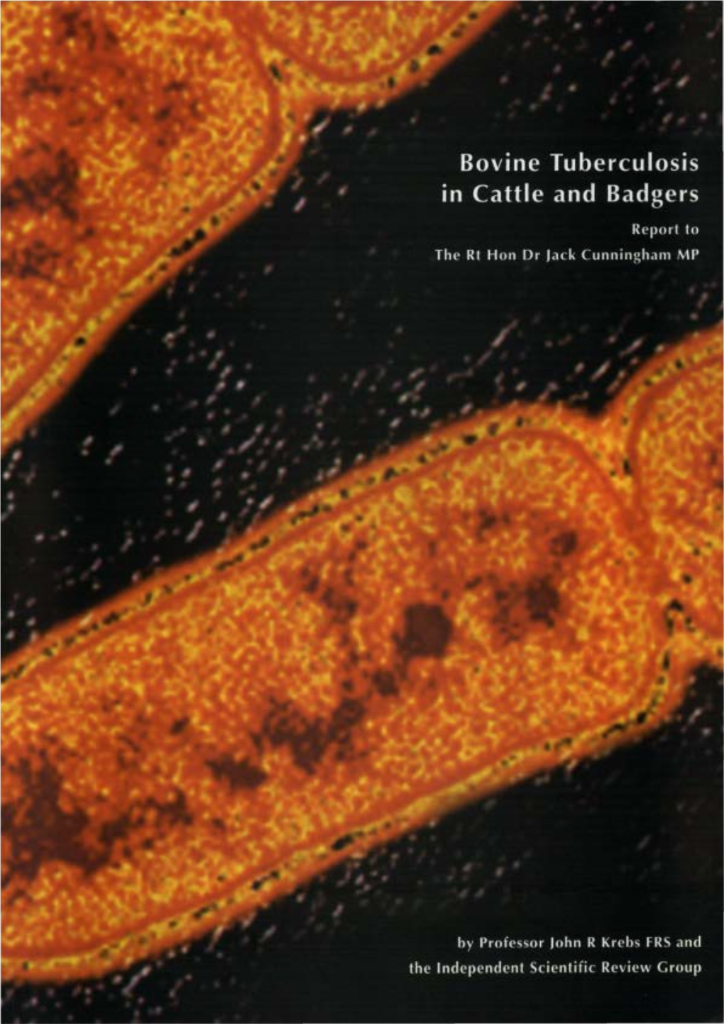 1997 Krebs Report on Bovine Tuberculosis in Cattle and Badgers