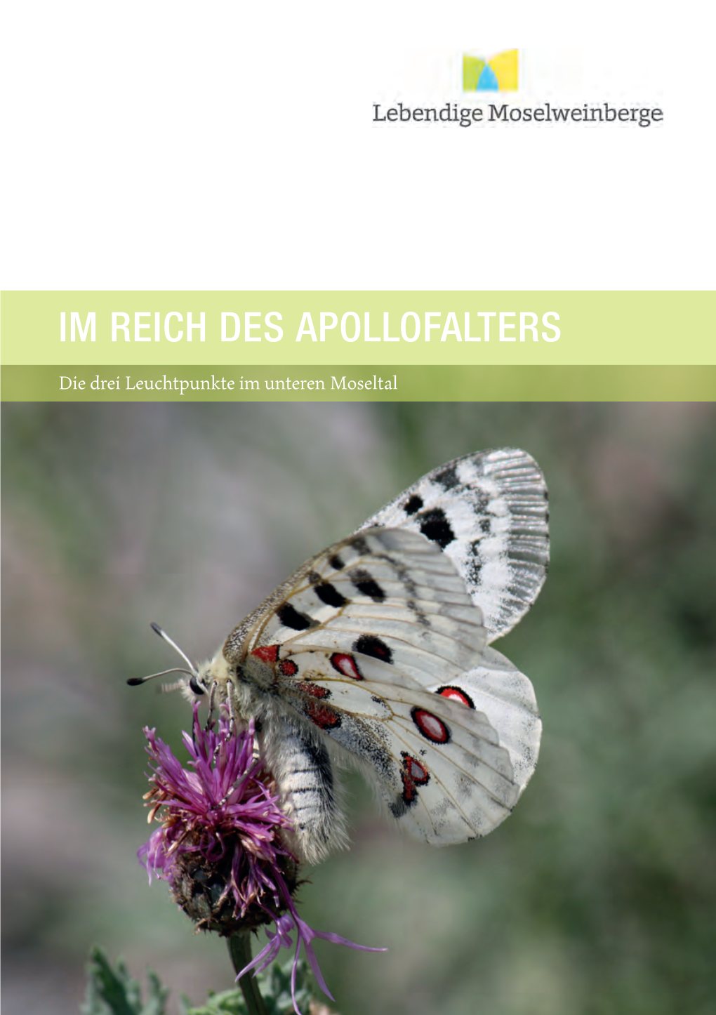 Im Reich Des Apollofalters