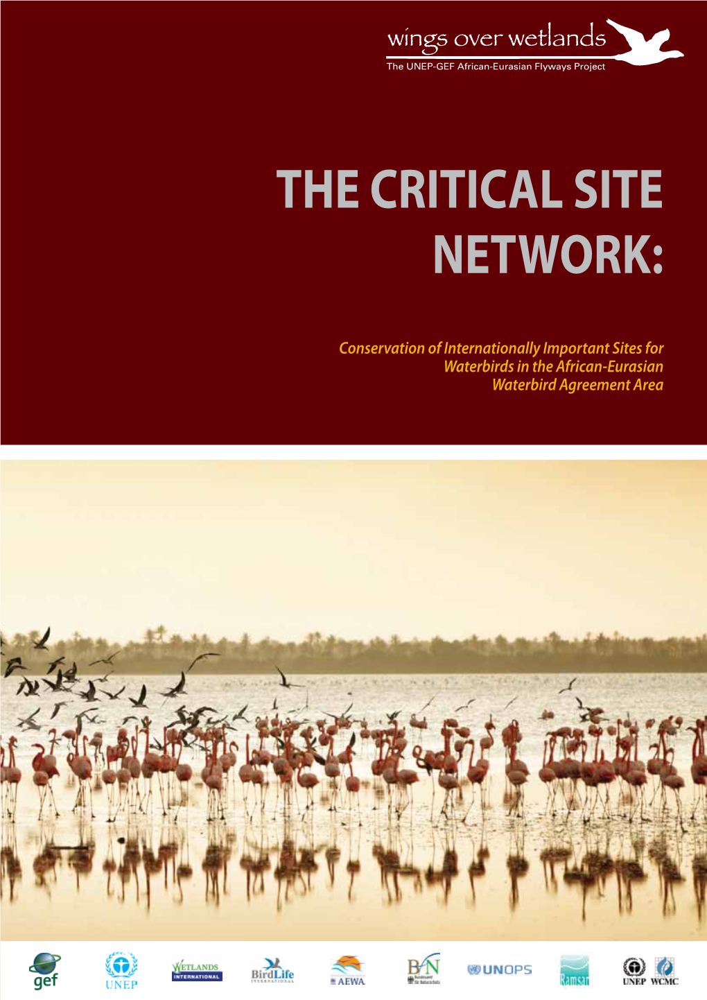 The Critical Site Network