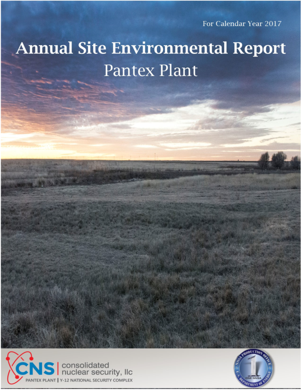2017 Site Environmental Report