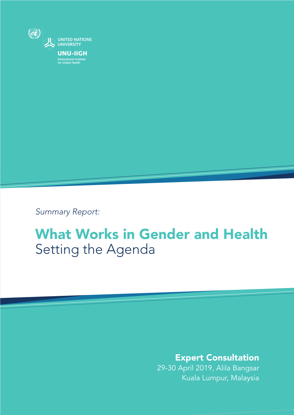 What Works in Gender and Health / Setting the Agenda