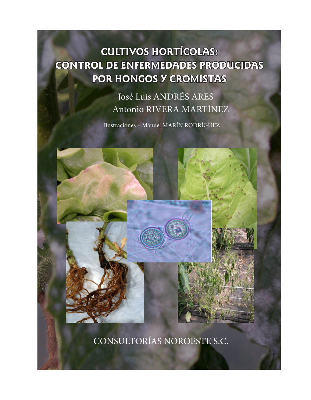 CULTIVOS HORTÍCOLAS: CONTROL DE ENFERMEDADES PRODUCIDAS POR HONGOS Y CROMISTAS José Luis ANDRÉS ARES Antonio RIVERA MARTÍNEZ