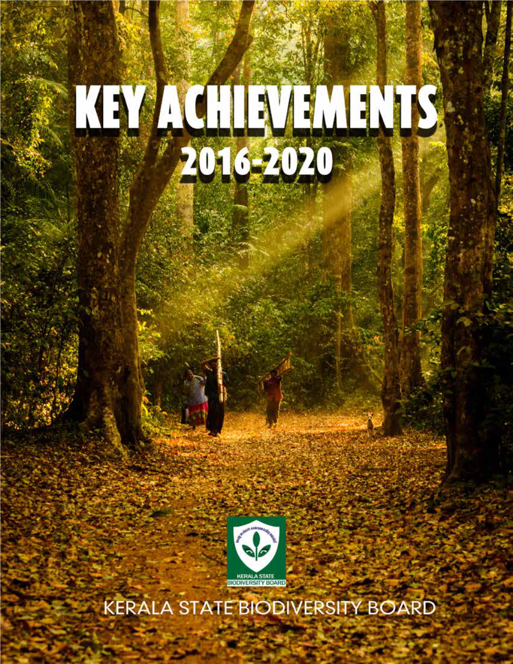 Key Achievementsbook.Pdf