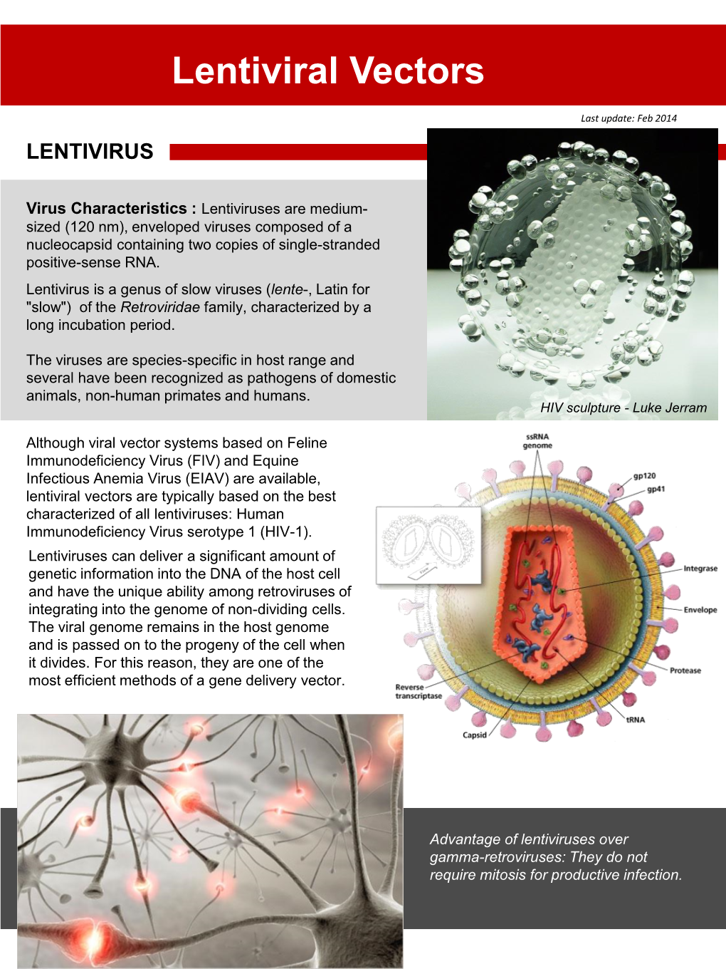 Lentiviral Vectors