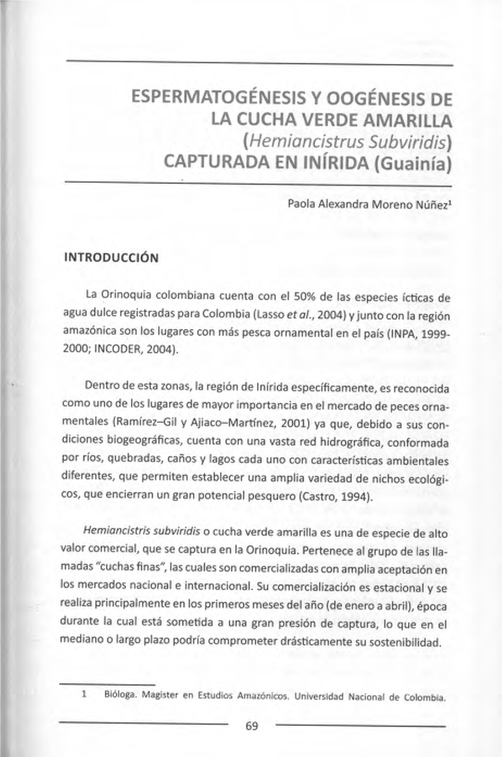 Hemiancistrus Subviridis) CAPTURADA EN Inírida (Guainía