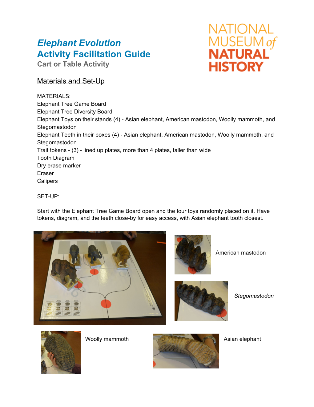 Elephant Evolution Activity Facilitation Guide (PDF)