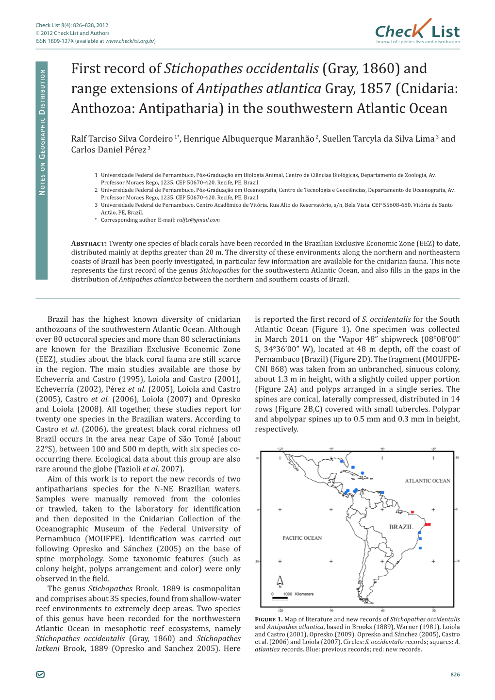 Antipathes Atlantica Gray, 1857 (Cnidaria