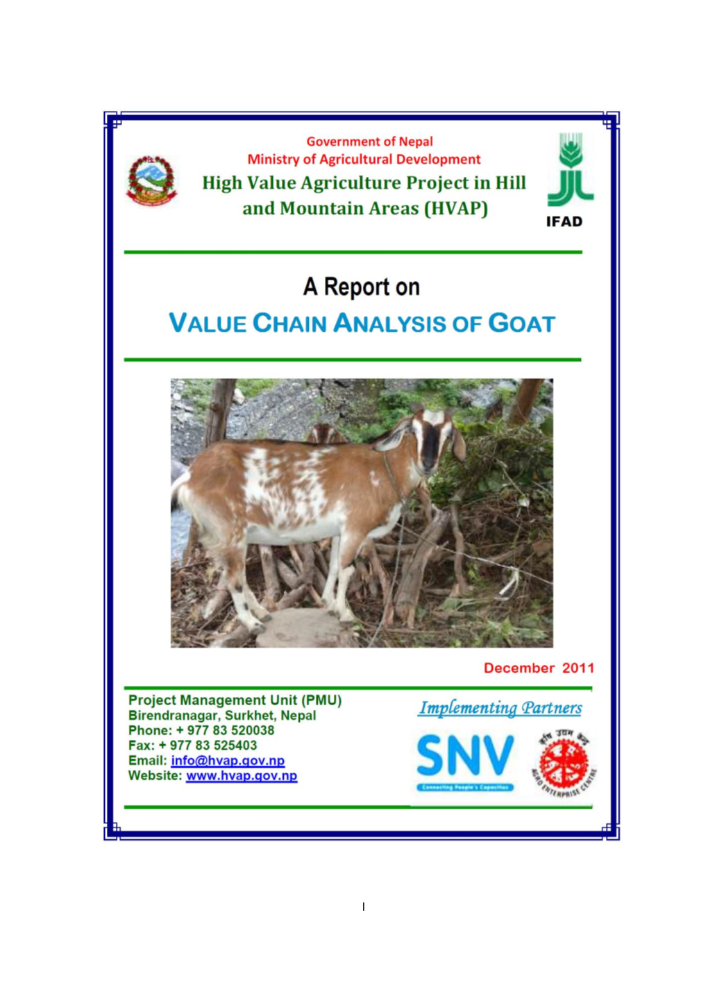 Report on Value Chain Analysis of Goat